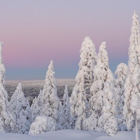 Northern Bliss Hideaway Rovaniemi Eksteriør bilde