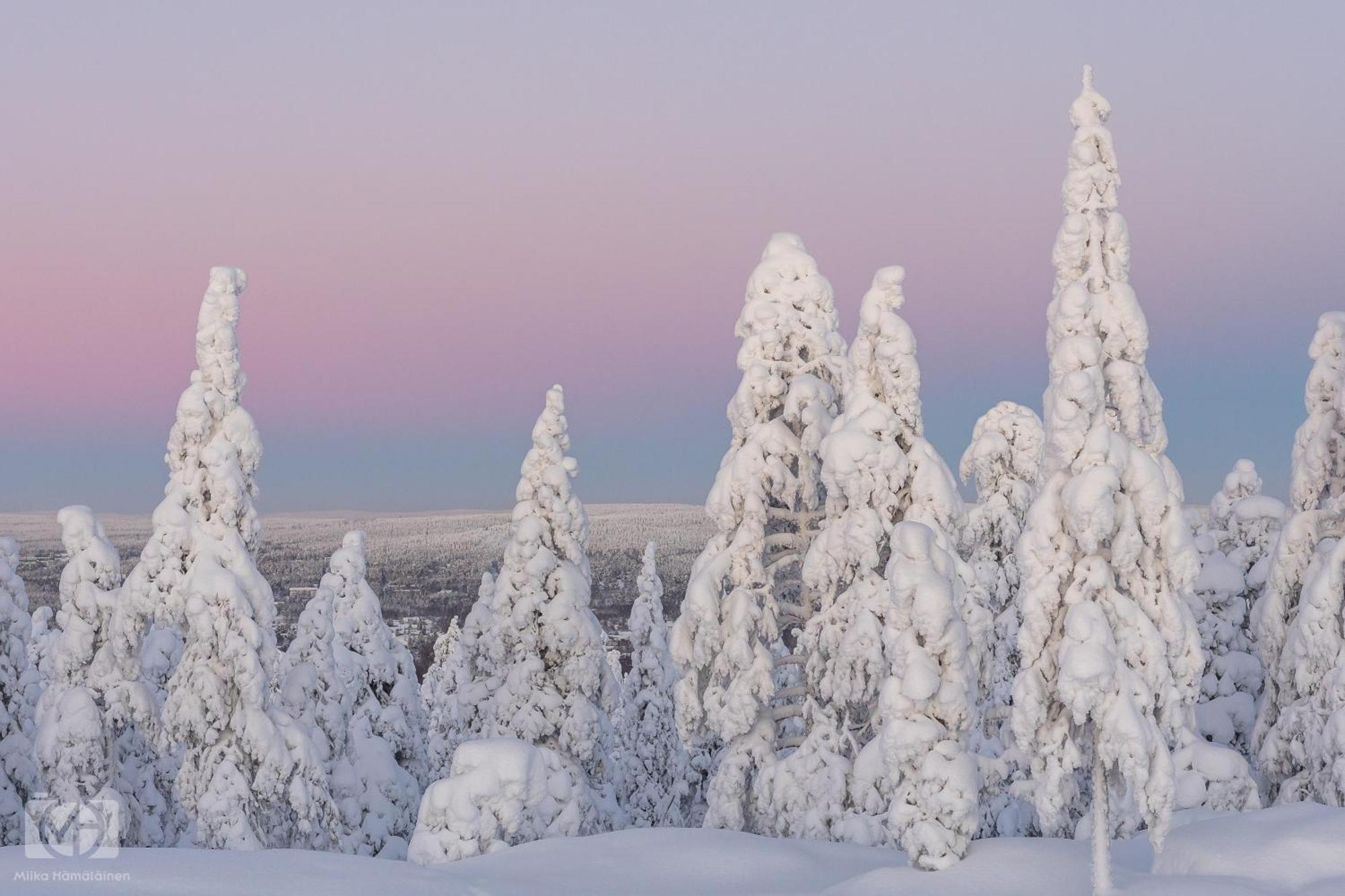 Northern Bliss Hideaway Rovaniemi Eksteriør bilde